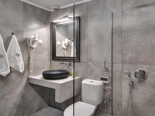 Frontzu Politia : photo 4 de la chambre chambre lits jumeaux avec cheminée