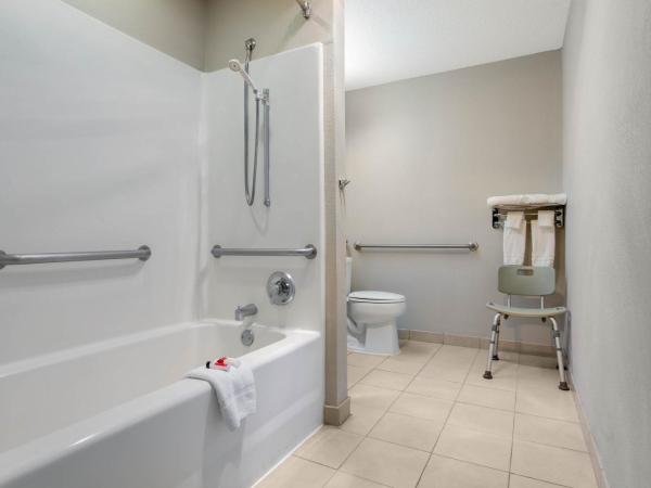 Microtel Inn & Suites by Wyndham Philadelphia Airport : photo 3 de la chambre chambre lit queen-size pour personnes à mobilité réduite - non-fumeurs