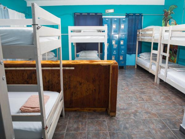 ITH Beach Bungalow Surf Hostel San Diego : photo 2 de la chambre dortoir mixte de 12 lits avec salle de bains privative