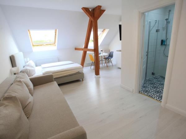 Zollikof Aparts - Sauna & Studioapartments : photo 5 de la chambre standard apartment (without sauna) 