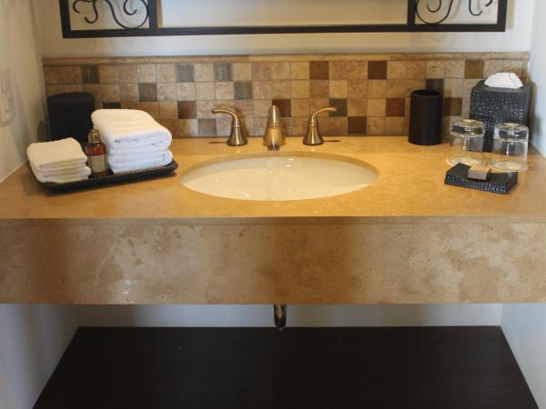 Grand Solmar Land's End Resort & Spa : photo 1 de la chambre suite présidentielle