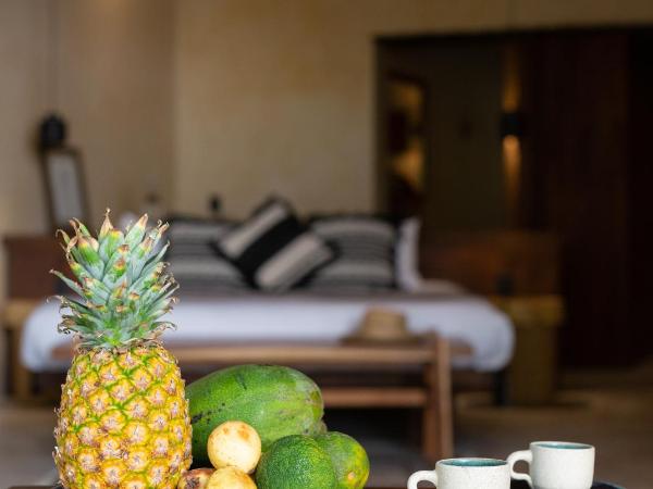 Hotel Ma'xanab Tulum : photo 5 de la chambre suite junior - vue sur jungle