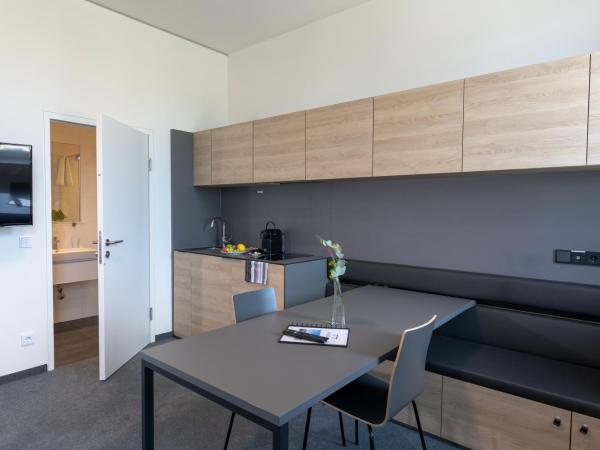 TT-ROOMS - kontaktlos mit Self Check-in : photo 1 de la chambre appartement suprieur