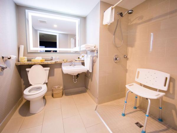 Best Western Plus Ottawa Kanata Hotel and Conference Centre : photo 3 de la chambre chambre lit king-size - accessible aux personnes à mobilité réduite