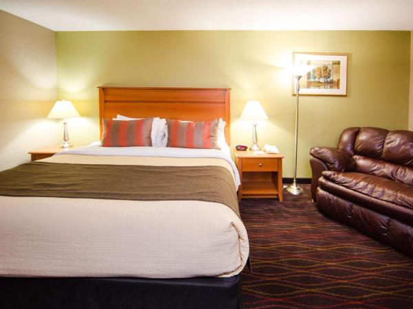 Best Western Plus Ottawa Kanata Hotel and Conference Centre : photo 6 de la chambre chambre lit king-size