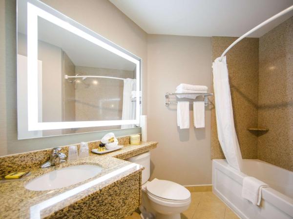 Best Western Plus Ottawa Kanata Hotel and Conference Centre : photo 6 de la chambre studio lit king-size