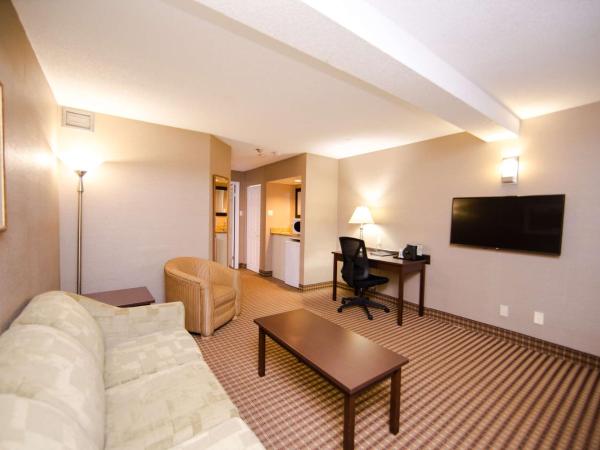 Best Western Plus Ottawa Kanata Hotel and Conference Centre : photo 7 de la chambre suite lit king-size