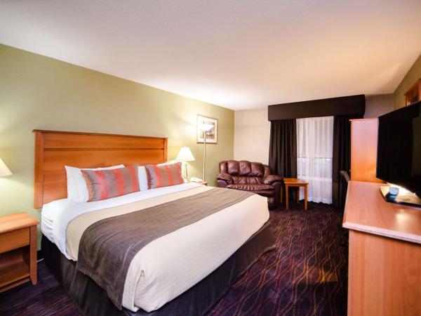 Best Western Plus Ottawa Kanata Hotel and Conference Centre : photo 1 de la chambre chambre lit king-size