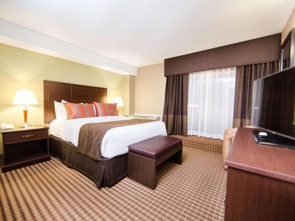 Best Western Plus Ottawa Kanata Hotel and Conference Centre : photo 1 de la chambre suite lit king-size