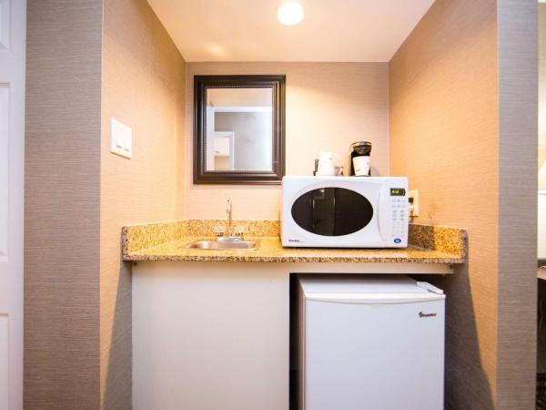 Best Western Plus Ottawa Kanata Hotel and Conference Centre : photo 6 de la chambre suite lit king-size