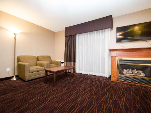 Best Western Plus Ottawa Kanata Hotel and Conference Centre : photo 1 de la chambre chambre lit king-size exécutive avec cheminée