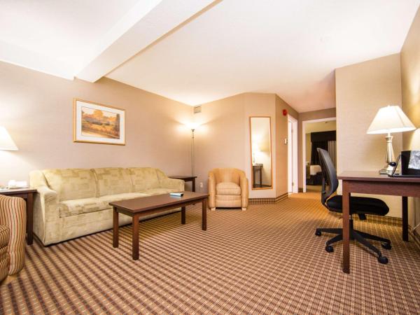 Best Western Plus Ottawa Kanata Hotel and Conference Centre : photo 6 de la chambre suite lit queen-size avec canapé-lit et baignoire spa