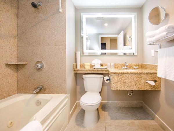 Best Western Plus Ottawa Kanata Hotel and Conference Centre : photo 8 de la chambre suite lit king-size