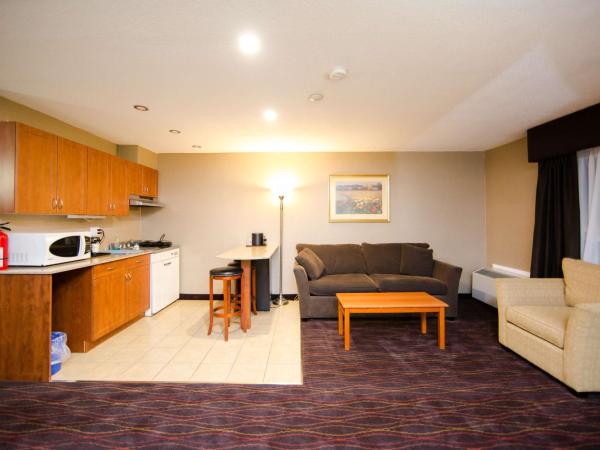 Best Western Plus Ottawa Kanata Hotel and Conference Centre : photo 9 de la chambre studio lit king-size