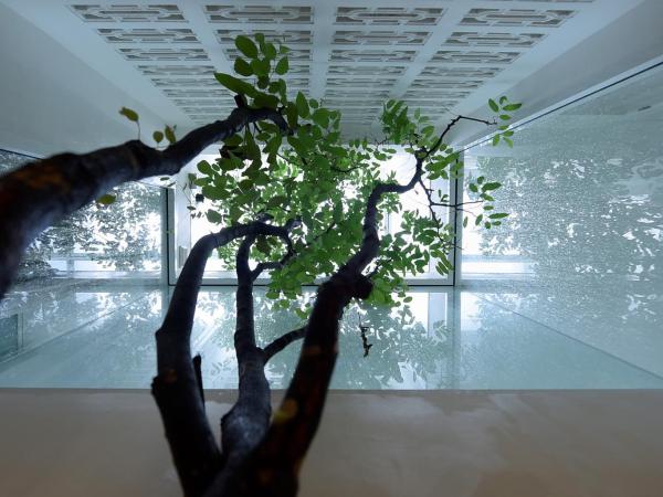 K Maison Lanna Boutique Hotel-SHA Plus Certified : photo 4 de la chambre hébergement d’angle classique