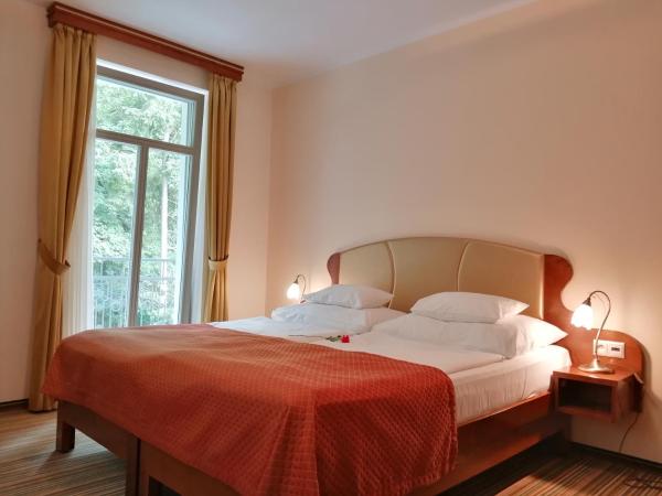 Parkhotel Forest : photo 8 de la chambre suite avec balcon