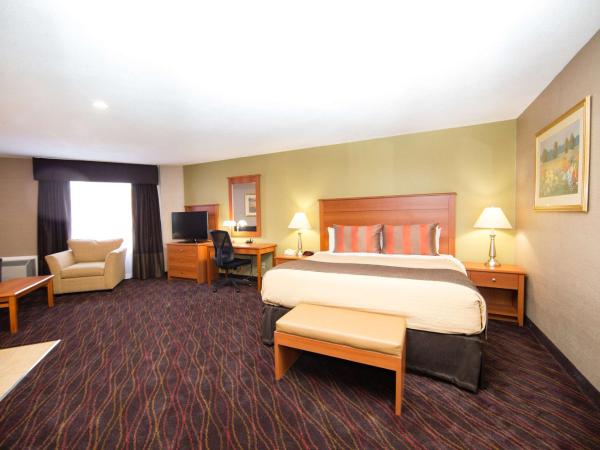 Best Western Plus Ottawa Kanata Hotel and Conference Centre : photo 10 de la chambre studio lit king-size