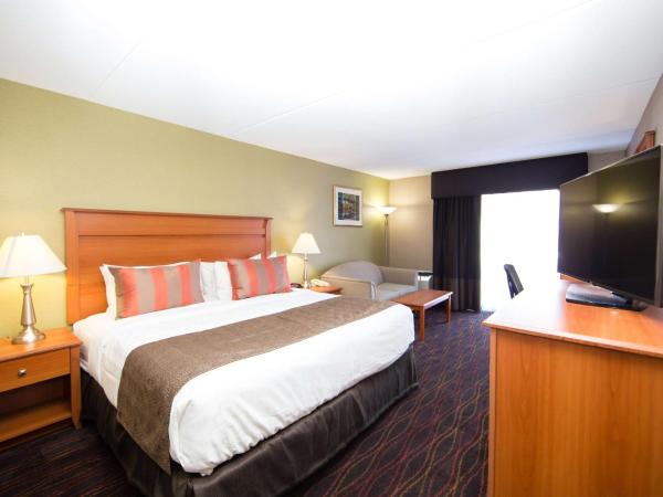 Best Western Plus Ottawa Kanata Hotel and Conference Centre : photo 7 de la chambre chambre lit king-size avec canapé-lit