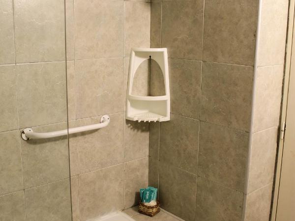 Savannah Cordoba Hotel : photo 1 de la chambre chambre quadruple standard