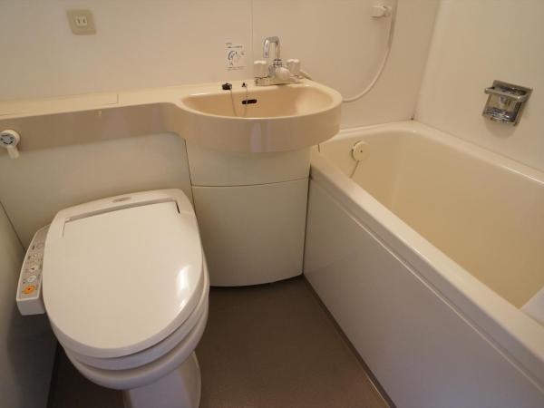 Green Rich Hotel Hiroshima Shinkansenguchi (Artificial hot spring Futamata Yunohana) : photo 5 de la chambre chambre simple - fumeurs