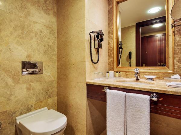 Crowne Plaza Istanbul - Old City, an IHG Hotel : photo 5 de la chambre chambre lits jumeaux club avec accès au salon club