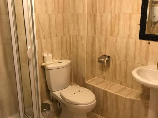 Sheil Suites : photo 5 de la chambre chambre lits jumeaux supérieure