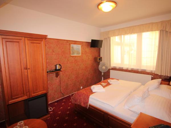 Old Prague Hotel : photo 2 de la chambre chambre double ou lits jumeaux Économique 