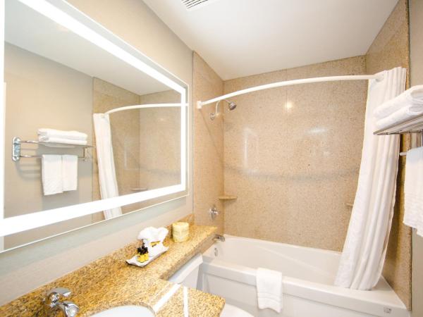 Best Western Plus Ottawa Kanata Hotel and Conference Centre : photo 7 de la chambre chambre lit king-size affaires