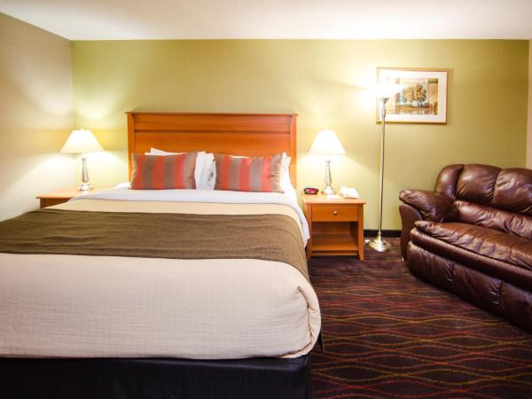 Best Western Plus Ottawa Kanata Hotel and Conference Centre : photo 6 de la chambre chambre lit king-size affaires