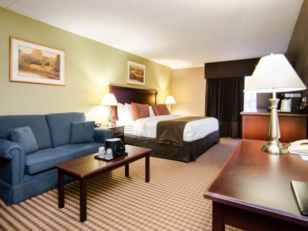 Best Western Plus Ottawa Kanata Hotel and Conference Centre : photo 8 de la chambre chambre lit king-size avec canapé-lit