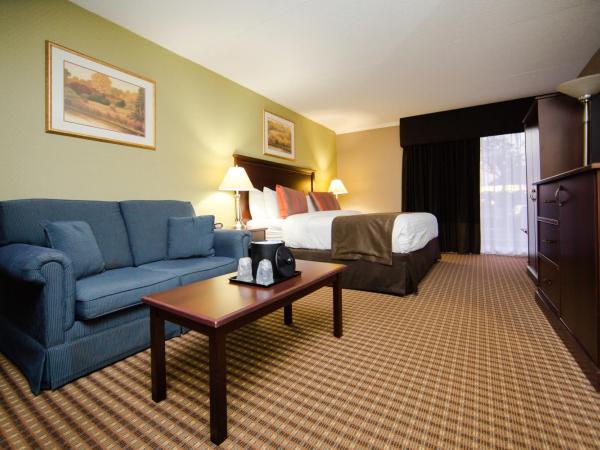 Best Western Plus Ottawa Kanata Hotel and Conference Centre : photo 6 de la chambre chambre lit king-size - accessible aux personnes à mobilité réduite