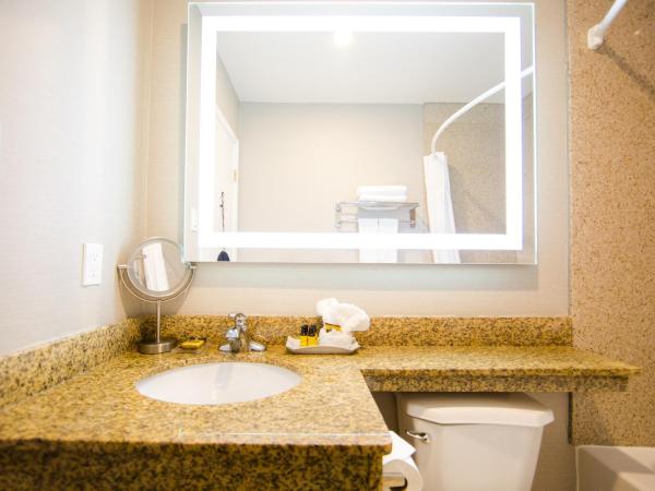 Best Western Plus Ottawa Kanata Hotel and Conference Centre : photo 8 de la chambre chambre lit king-size - accessible aux personnes à mobilité réduite