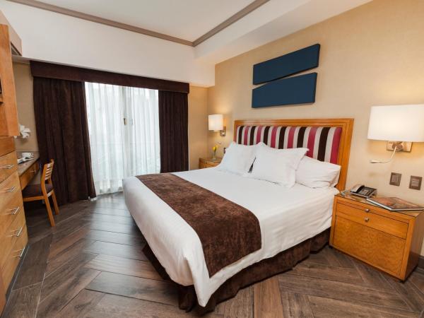 Suites Del Ángel : photo 8 de la chambre suite standard