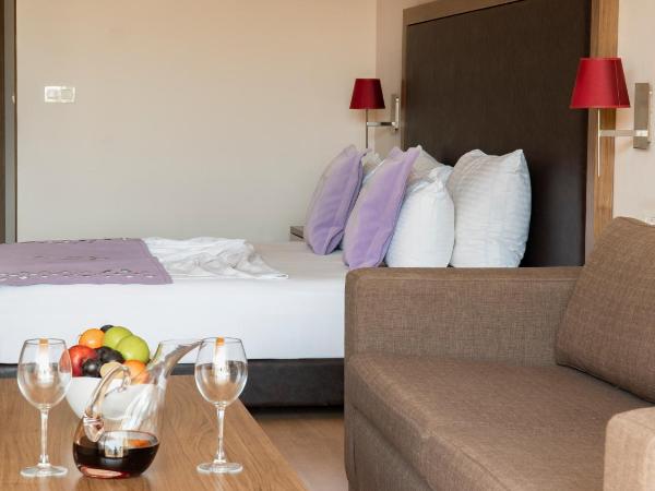 Ladies Beach Suite Hotel : photo 4 de la chambre appartement standard