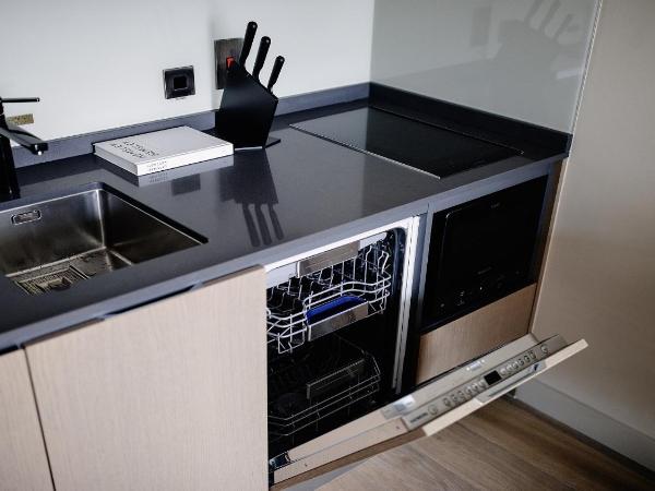 Herbert Park Hotel and Park Residence : photo 8 de la chambre studio avec canapé-lit