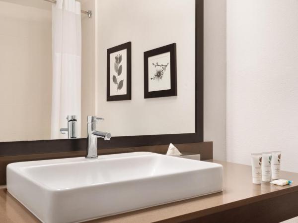 Country Inn & Suites by Radisson, Savannah Midtown, GA : photo 5 de la chambre suite 1 chambre lit king-size avec canapé-lit - non-fumeurs