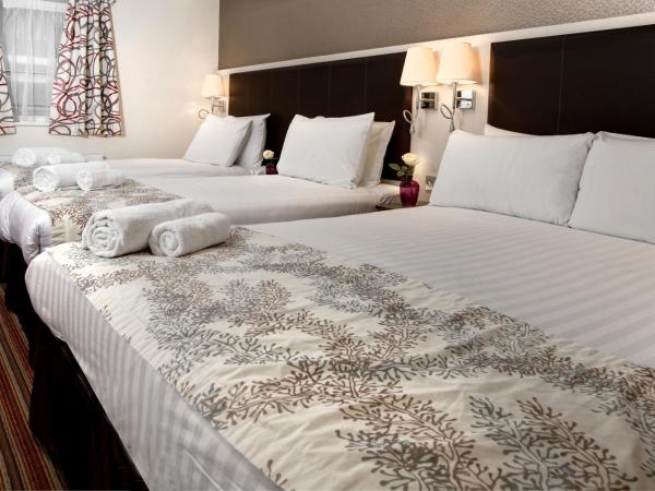 Best Western Chiswick Palace & Suites London : photo 6 de la chambre chambre quadruple standard