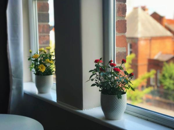 Titanic Guest Boutique, 4-Star Accommodation : photo 4 de la chambre chambre double deluxe avec douche