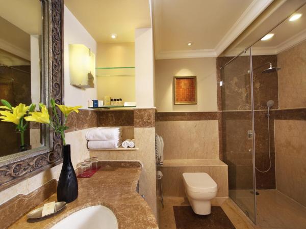 Taj Hari Mahal Jodhpur : photo 4 de la chambre chambre lit king-size de luxe - vue sur jardin