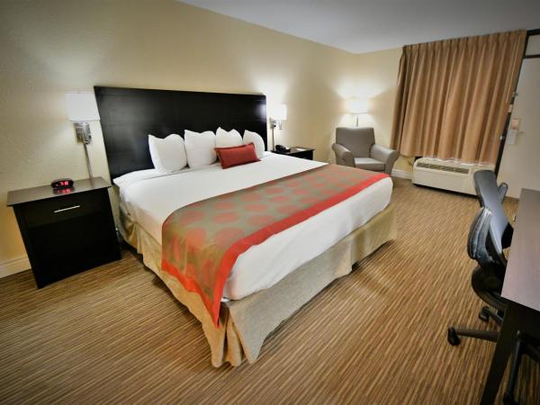 Ramada by Wyndham Jacksonville Hotel & Conference Center : photo 5 de la chambre suite 1 chambre lit king-size - non-fumeurs