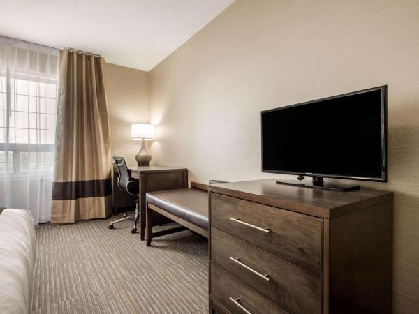 Comfort Inn & Suites : photo 4 de la chambre queen room with sofa-bed - accessible/non-smoking