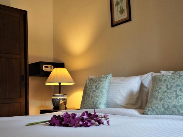 Betel Nut Lodge : photo 3 de la chambre chambre lit king-size deluxe