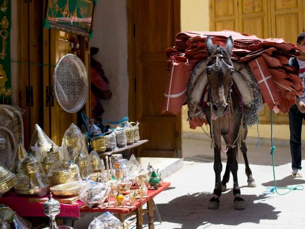 Moroccan Dream Hostel : photo 3 de la chambre dortoir mixte de 8 lits