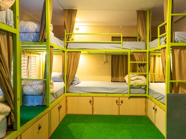 Big Tree Hostel : photo 4 de la chambre lit superposé dans dortoir mixte