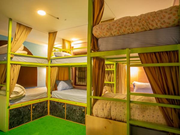 Big Tree Hostel : photo 4 de la chambre lit dans dortoir mixte de 6 lits