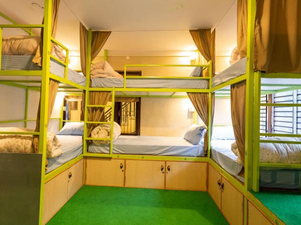 Big Tree Hostel : photo 1 de la chambre lit superposé dans dortoir mixte