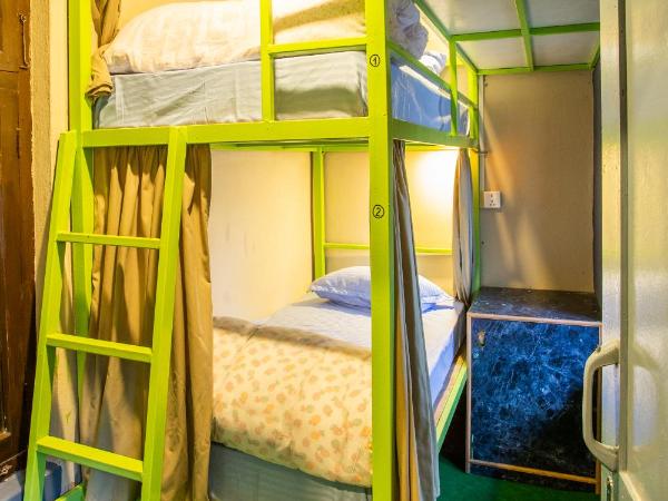 Big Tree Hostel : photo 4 de la chambre lit superposé dans dortoir mixte