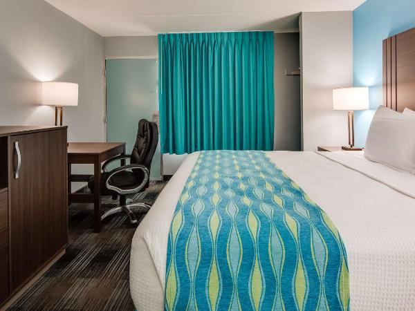 SureStay Hotel by Best Western Jacksonville South : photo 5 de la chambre chambre lit king-size