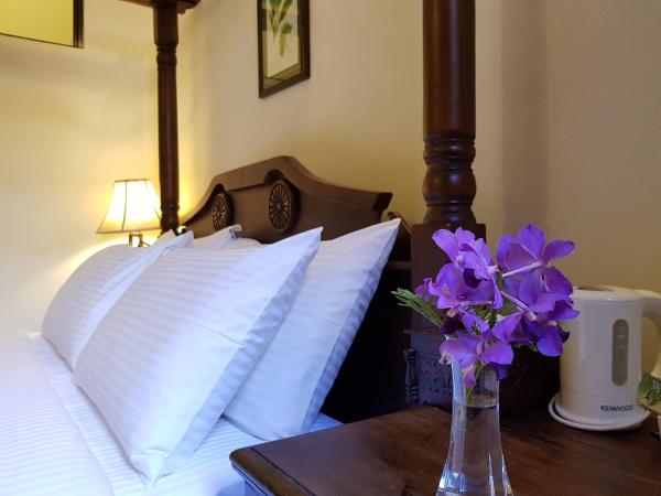 Betel Nut Lodge : photo 2 de la chambre chambre double supérieure