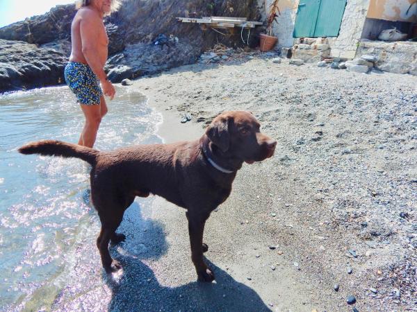 LE GIÜE : photo 10 de la chambre chambre lit king-size - vue sur mer